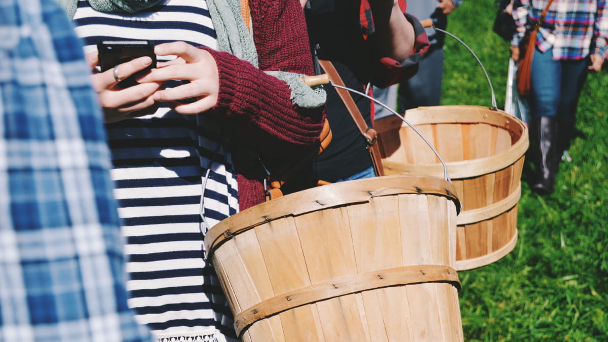 Menschen stehen in der Reihe auf einer Wiese, manche haben ein Smartphone und einen Eimer in der Hand