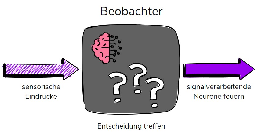 black-box Wahrnehmung neu gedacht: Inside-Out statt Outside-In | SchattenGestalt K&ouml;ln